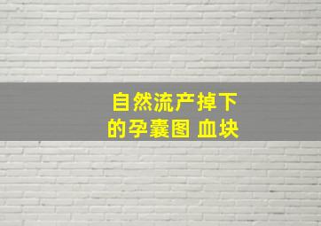 自然流产掉下的孕囊图 血块